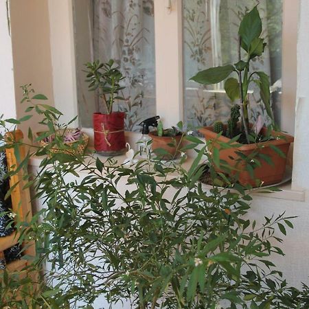Marina Chartolani's guest house Mestia Extérieur photo