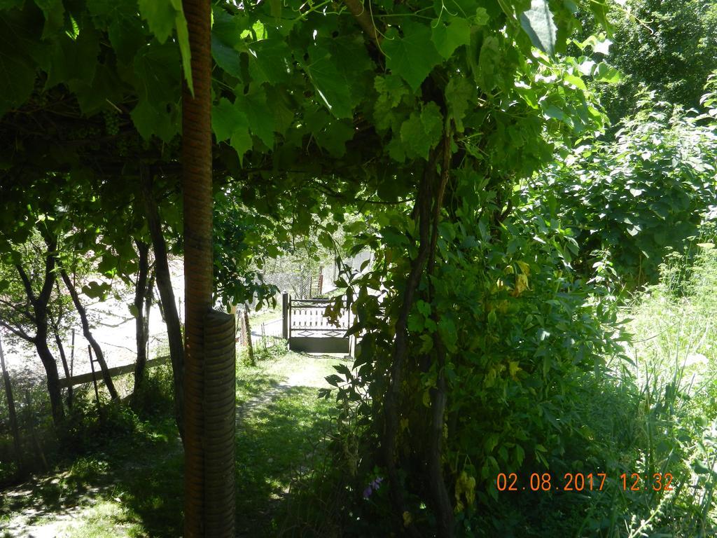 Marina Chartolani's guest house Mestia Extérieur photo