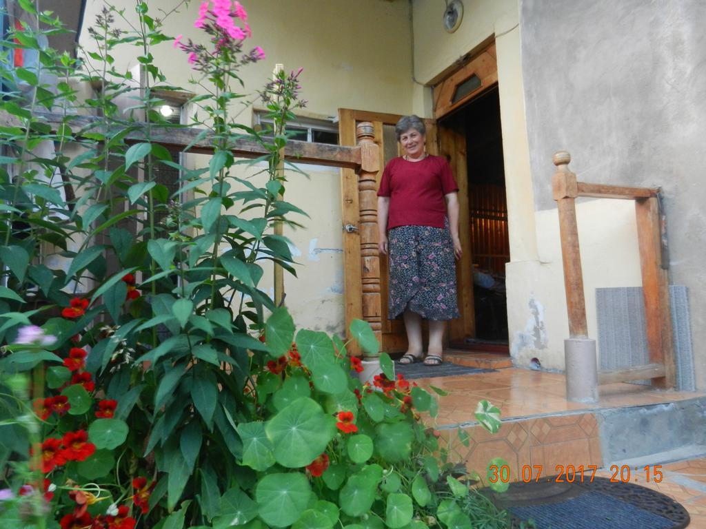 Marina Chartolani's guest house Mestia Extérieur photo